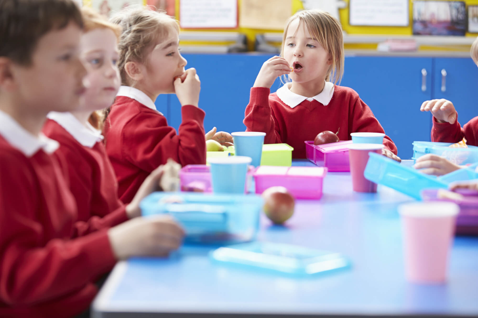 Managing Allergies in Schools: Updated Statutory Guidance   feature image
