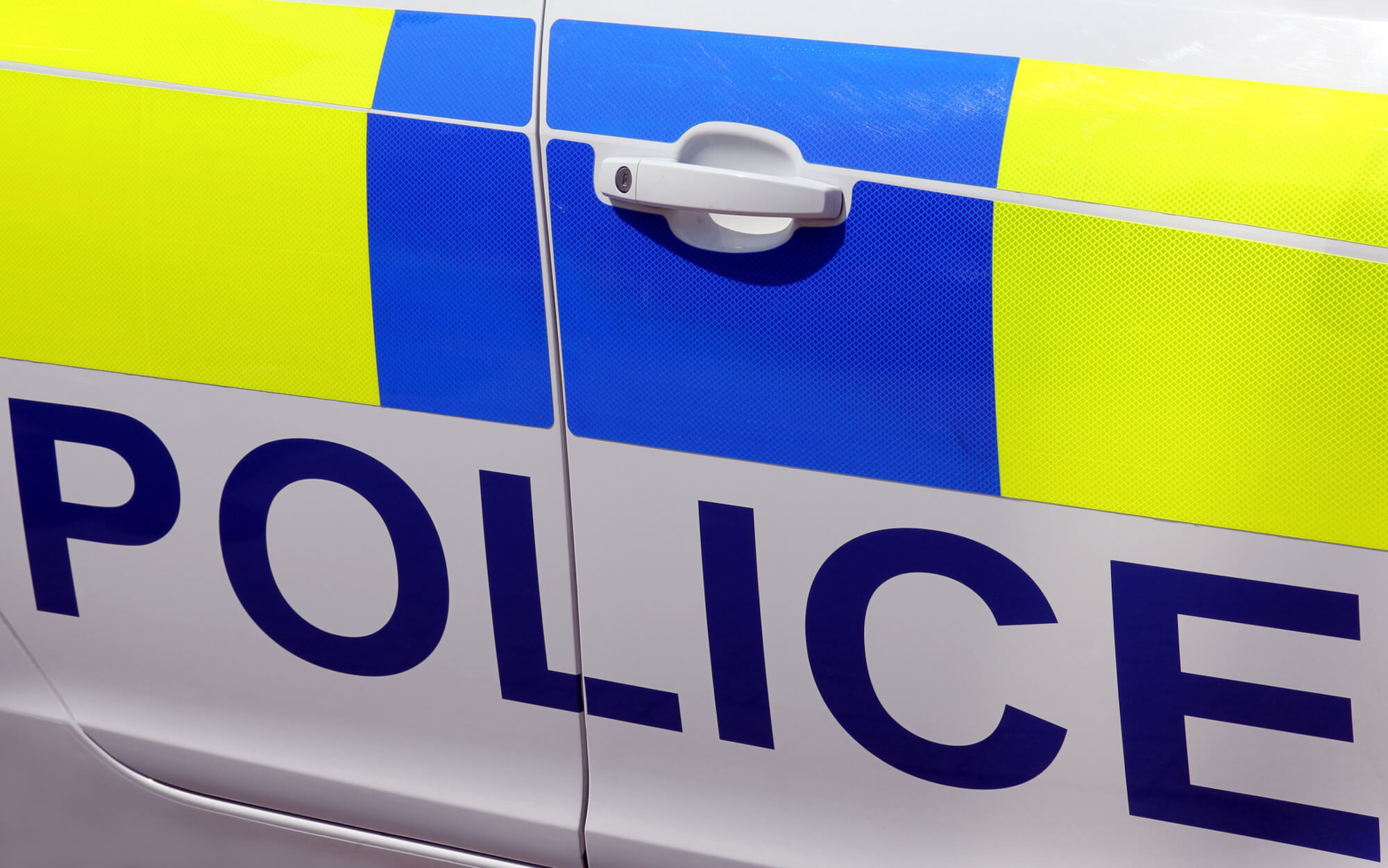 Counter terrorism: My Ficus, Hydrogen Peroxide and a Knock at the Door  feature image
